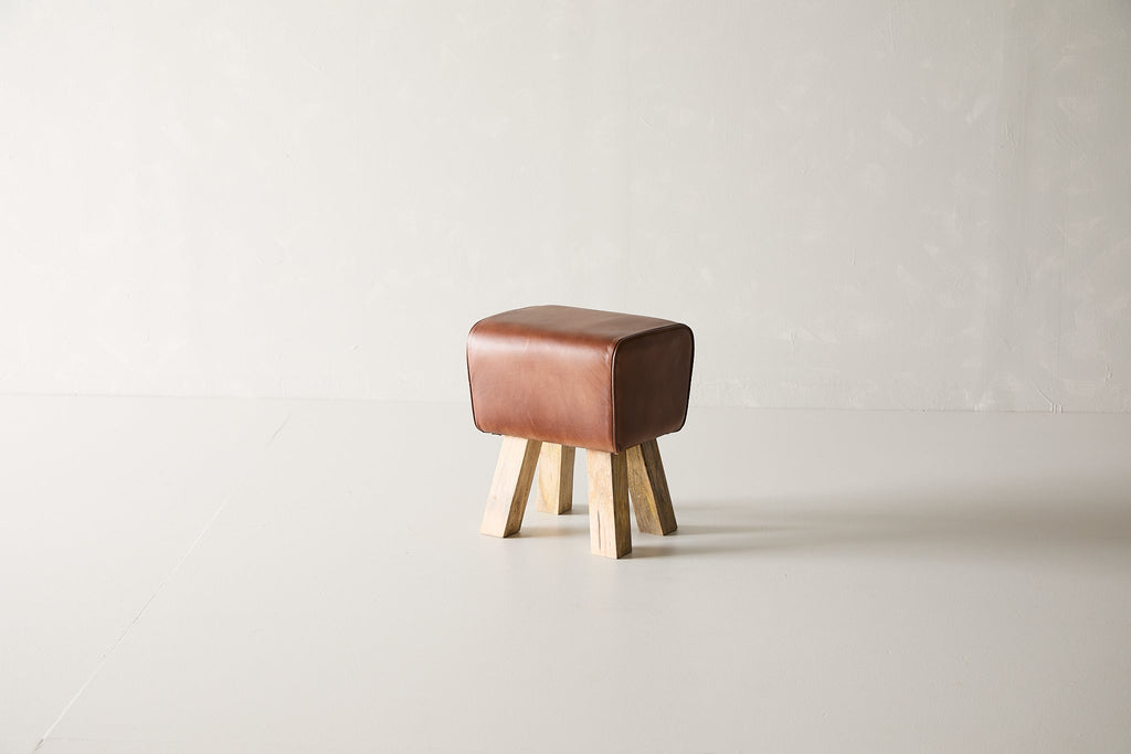 Rodeo Stool