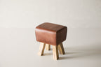 Rodeo Stool