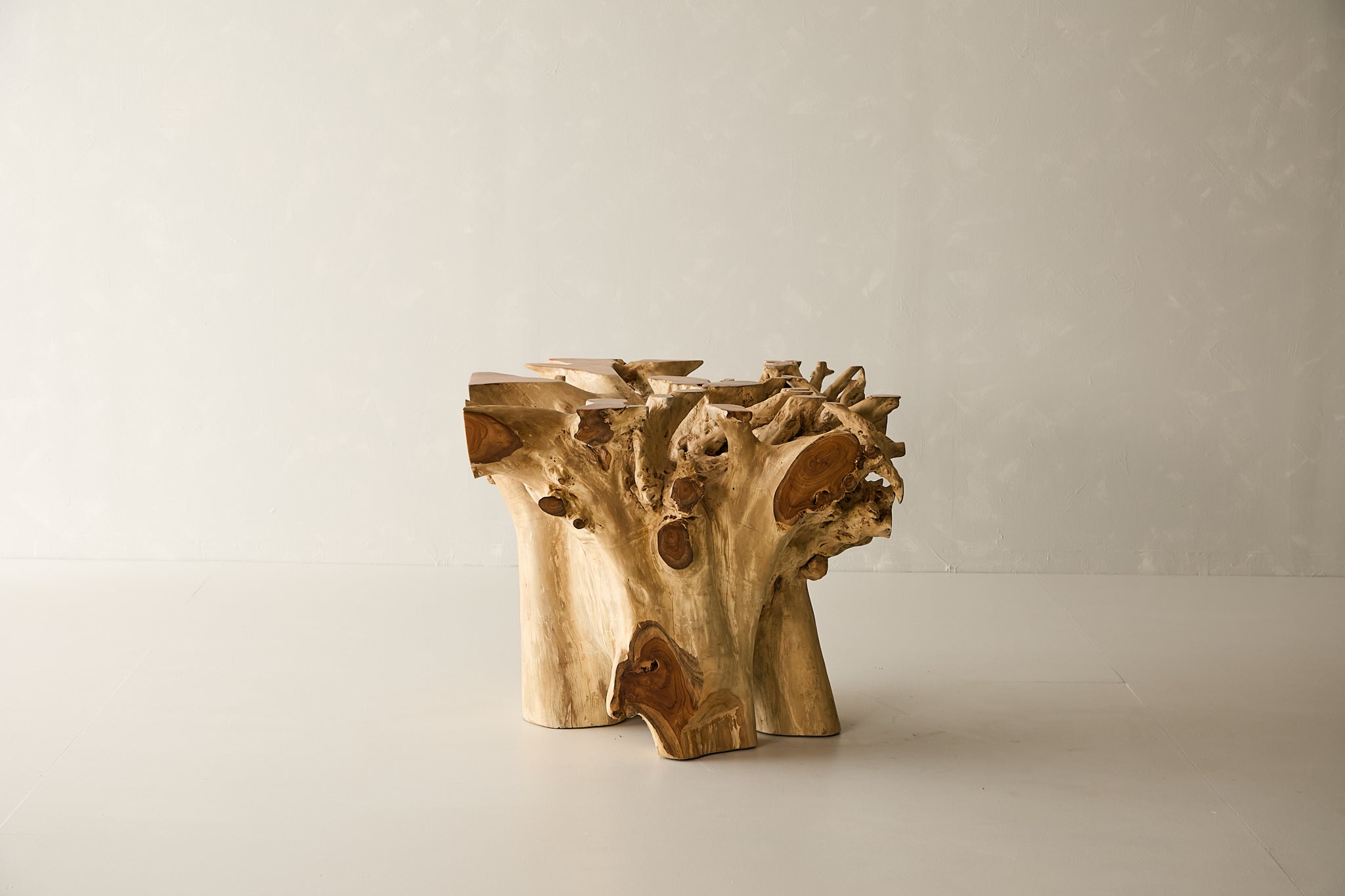 Teak Root Dining Table, 60 Square Glass Top