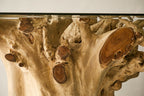 Teak Root Dining Table, 60 Square Glass Top