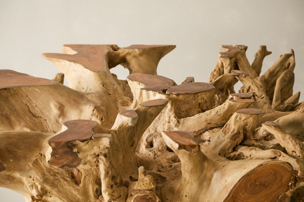 Teak Root Dining Table, 60 Square Glass Top