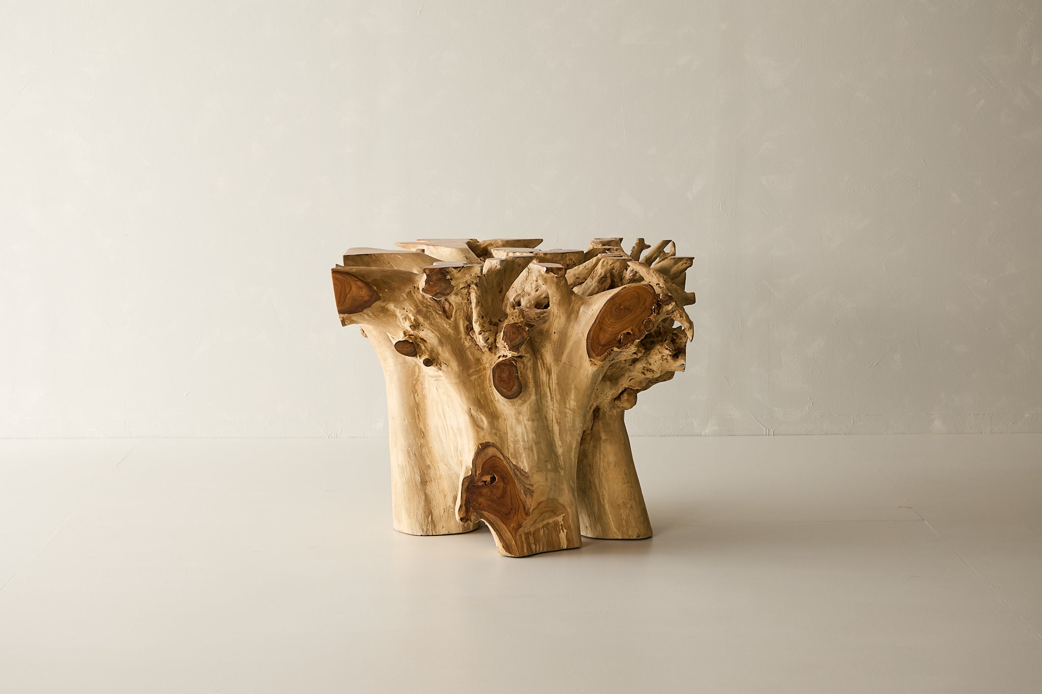 Teak Root Dining Table, 60 Square Glass Top