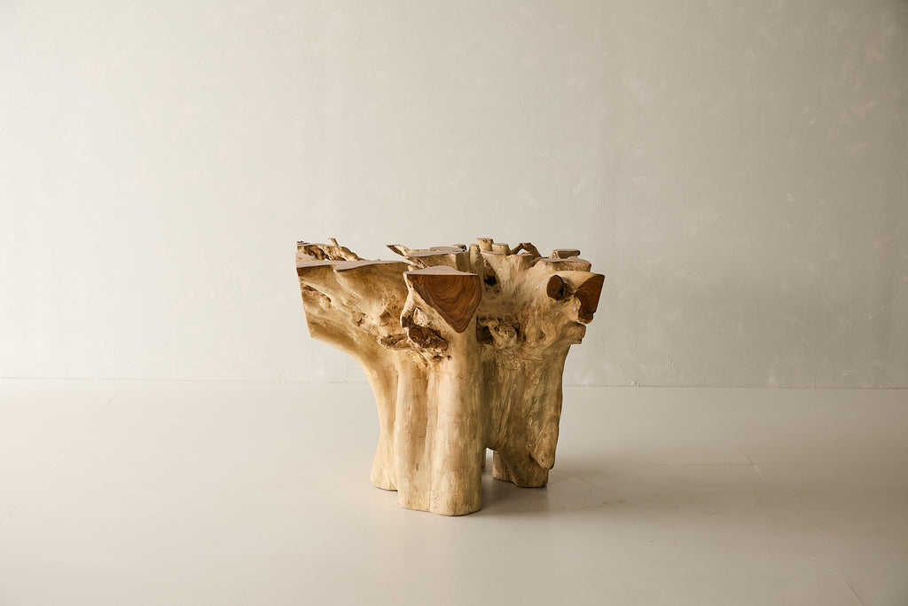 Teak Root Dining Table, 60 Square Glass Top