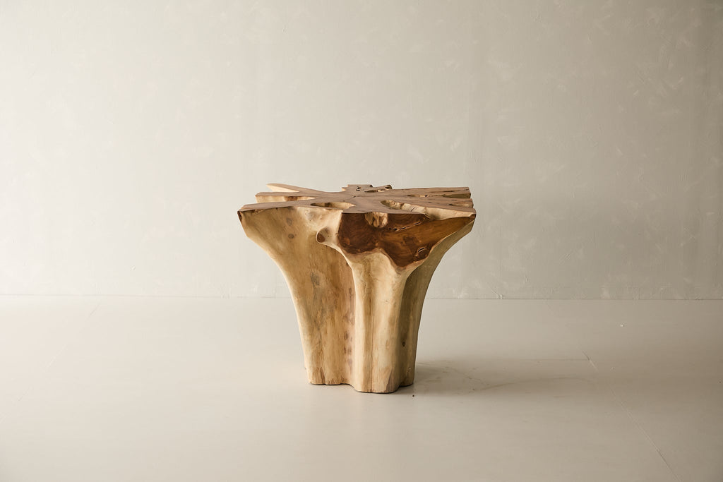 Teak Root Dining Table, 60 Square Glass Top