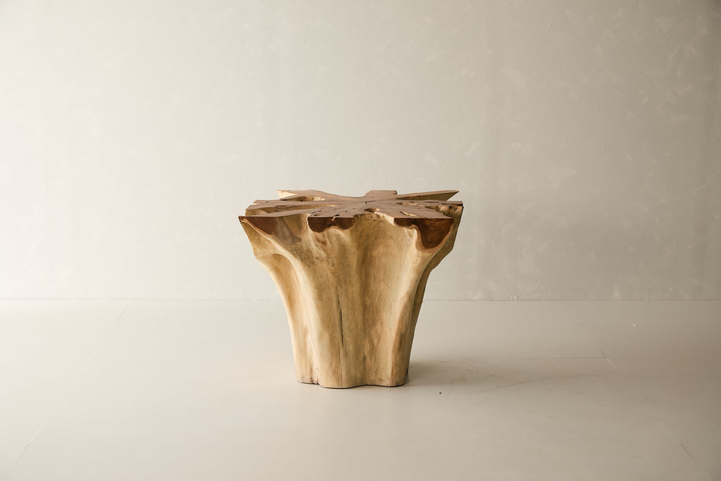 Teak Root Dining Table, 60 Square Glass Top