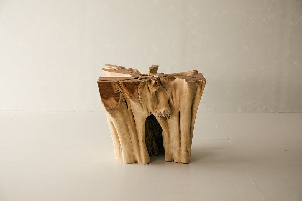 Teak Root Dining Table, 60 Square Glass Top