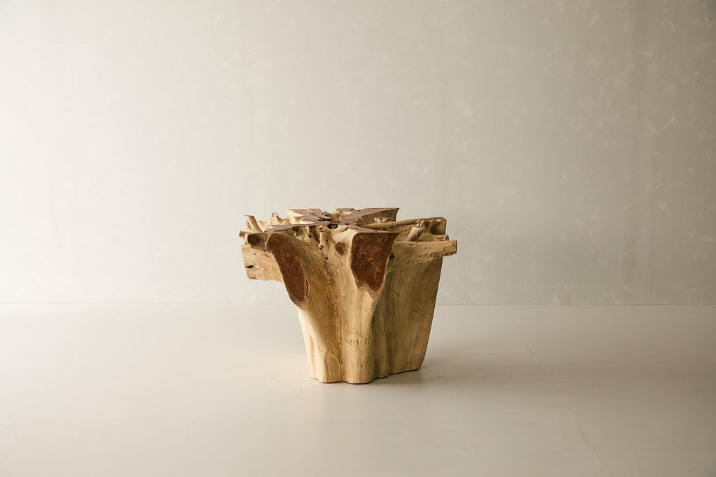 Teak Root Dining Table, 60 Square Glass Top