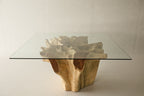 Teak Root Dining Table, 60 Square Glass Top
