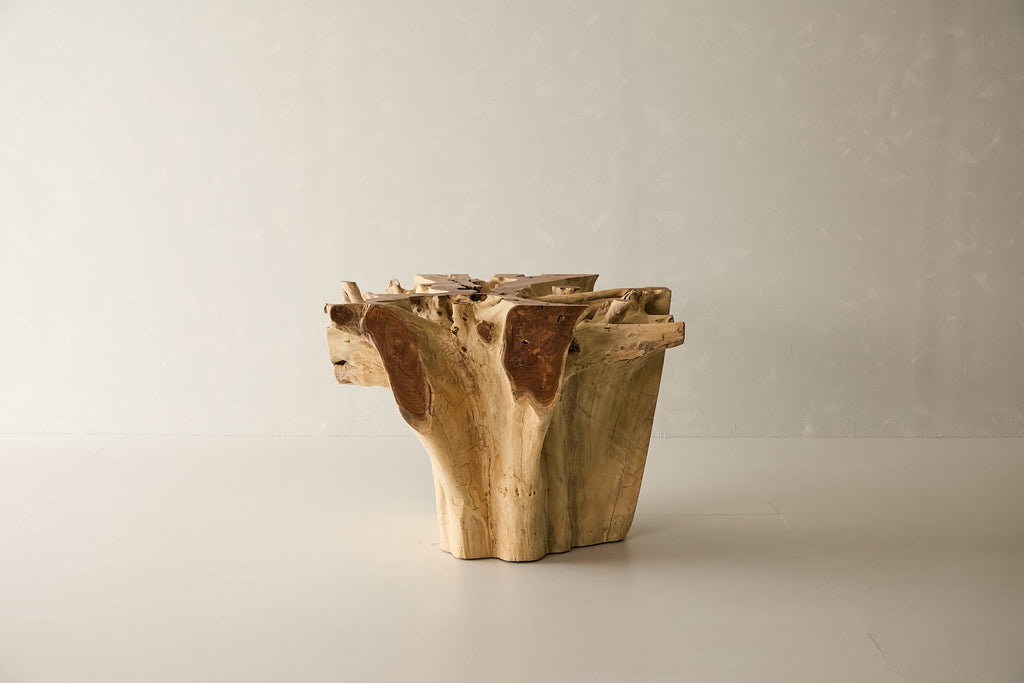 Teak Root Dining Table, 60 Square Glass Top